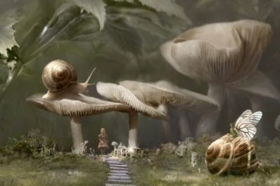 figura abstrata e visual com cogumelos e caracois
