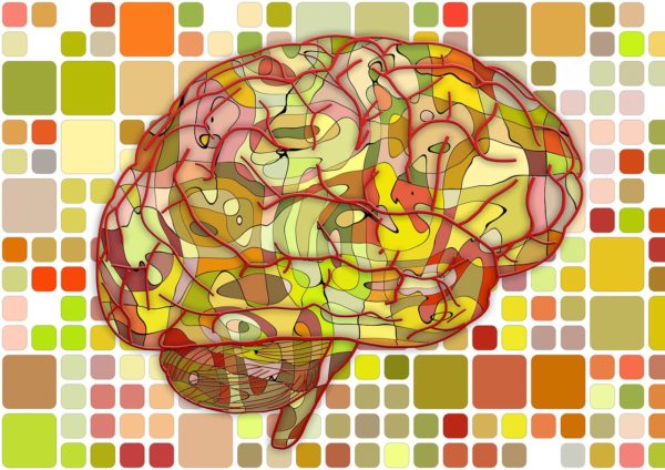 ilustração do cérebro com várias cores e ligações