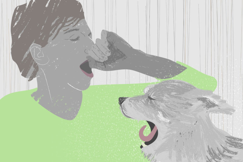 homem e cachorro bocejando reciprocramente